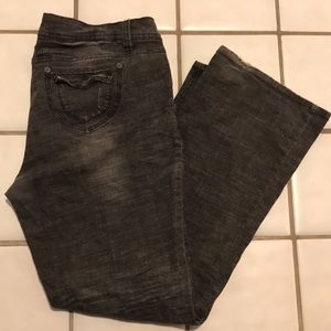 Hydraulic Plus Size Jeans - EUC